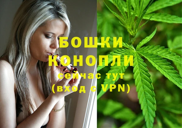 молекула духа Аркадак