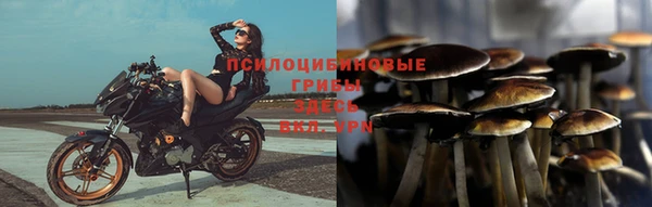 молекула духа Аркадак