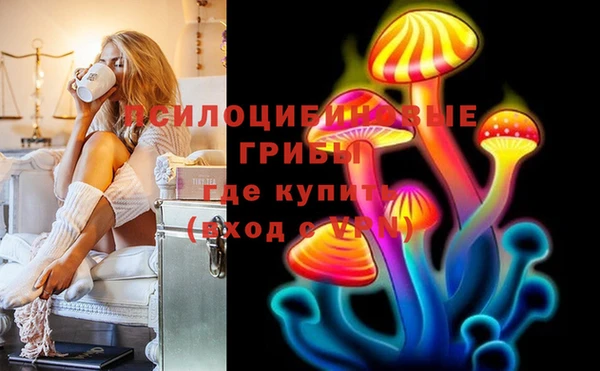 прущие грибы Арсеньев