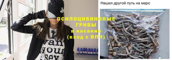 молекула духа Аркадак